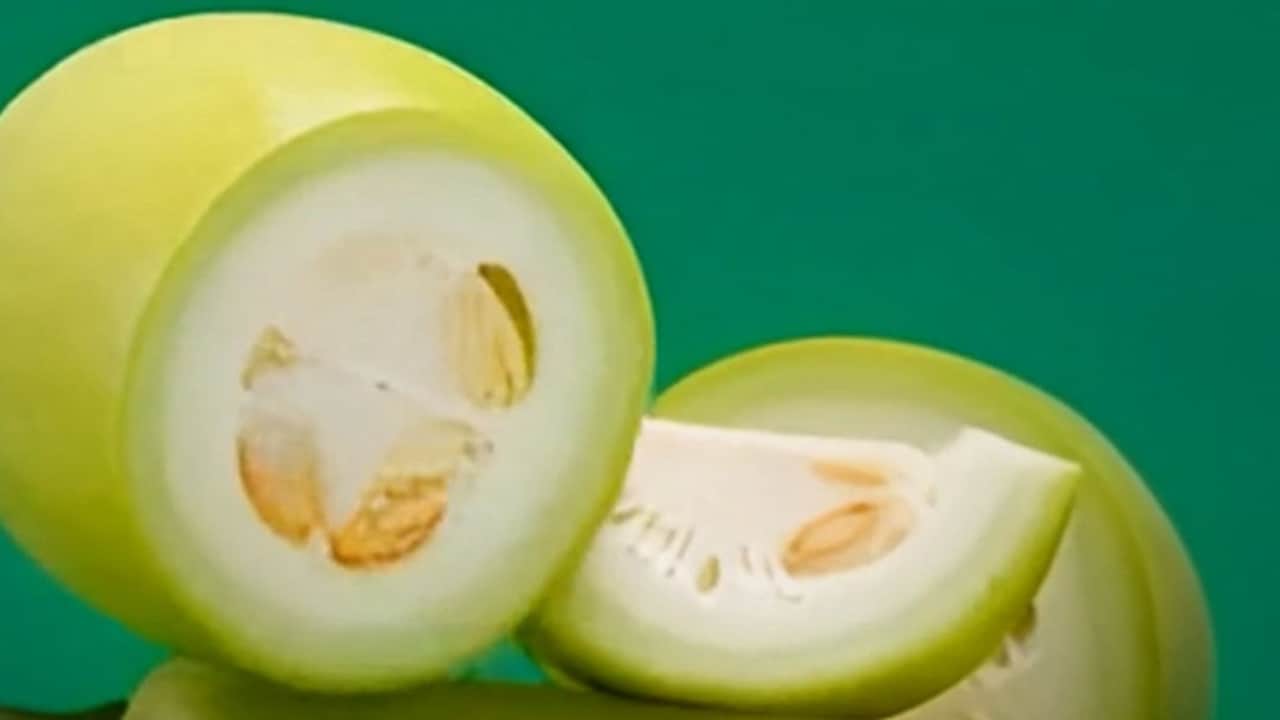 लौकी के बीज न फेंकें! सेहत से लेकर ब्यूटी तक के फायदे