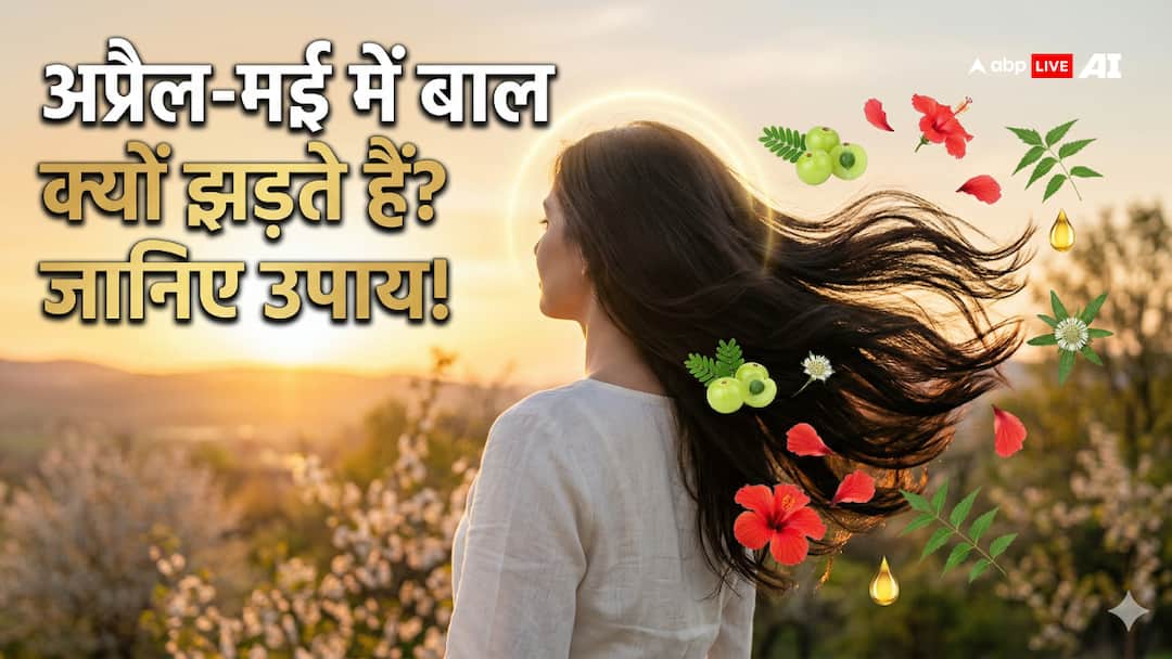 अप्रैल-मई में क्यों टूटते हैं ज्यादा बाल? जानिए पित्त, सीजन और साइंस का सीधा कनेक्शन?