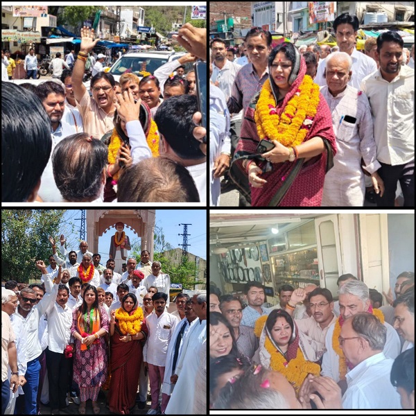 लालसोट : भाजपा प्रदेश महामंत्री मूर्ति मीणा ने जमीनी कार्यकर्ताओं और महिला सशक्तिकरण पर दिया जोर