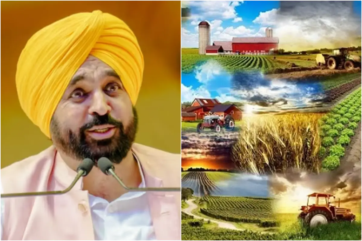 कृषि जगत का कायाकल्प कर Bhagwant Mann सरकार ने रखी मजबूत नींव! किसानों के साथ हजारों बाढ़ प्रभावितों तक सीधे पहुंचा लाभ
