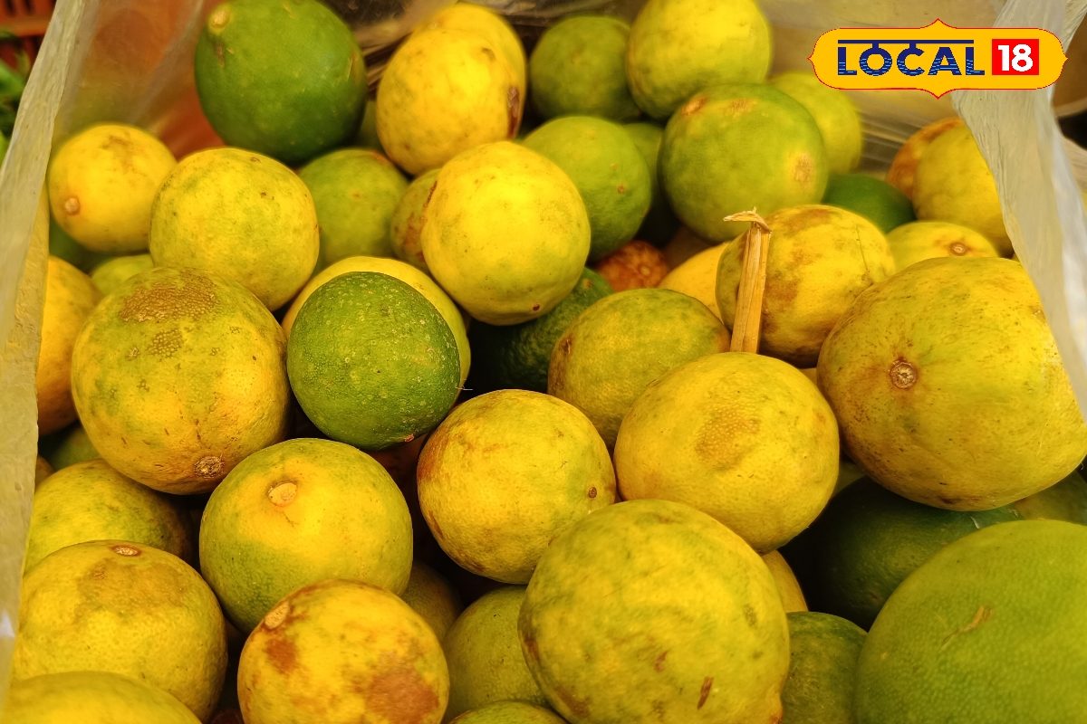 Lemon Price Hike in Karauli: करौली में नींबू हुआ 'लाल'! 300 रुपये किलो तक पहुंचे दाम, आम आदमी की जेब पर पड़ा भारी बोझ