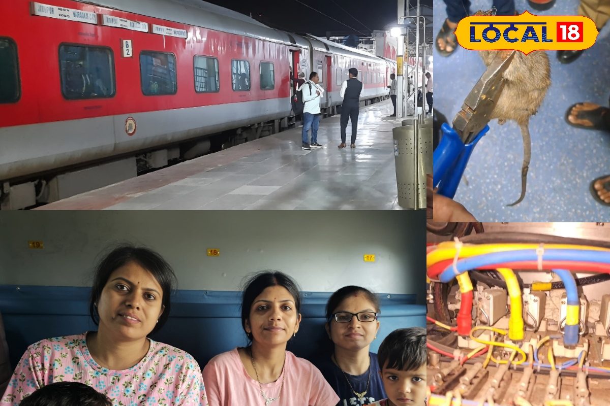एक छोटे से चूहे ने रोक दी ट्रेन की सांसें! मरुधर एक्सप्रेस में फायर अलार्म से अफरा-तफरी, बाल-बाल टला बड़ा हादसा