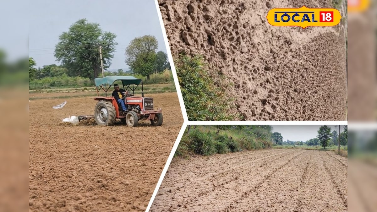 किसानों के लिए बड़ा टिप: गर्मी में करें गहरी जुताई, खत्म होंगे कीट और अगली फसल देगी रिकॉर्ड उत्पादन!