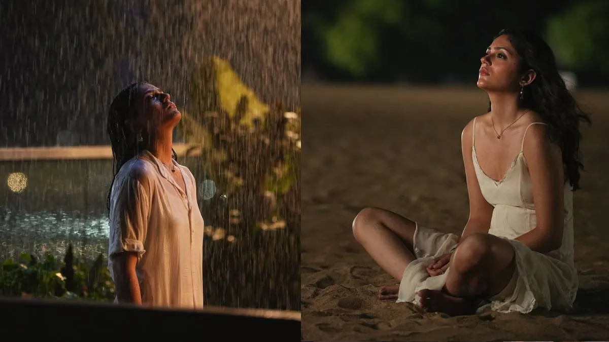 'मेरी जिंदगी का इकलौता प्यार', सबसे अजीज शख्स को खोकर टूटीं 'सैयारा' एक्ट्रेस, लंबे पोस्ट में जाहिर किया दर्द