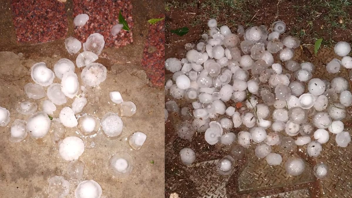 Jhansi: शहर से गांव तक बारिश के साथ गिरे ओले, दिनभर में 6.3 मिलीमीटर गिरा पानी, फसलों को नुकसान की आशंका