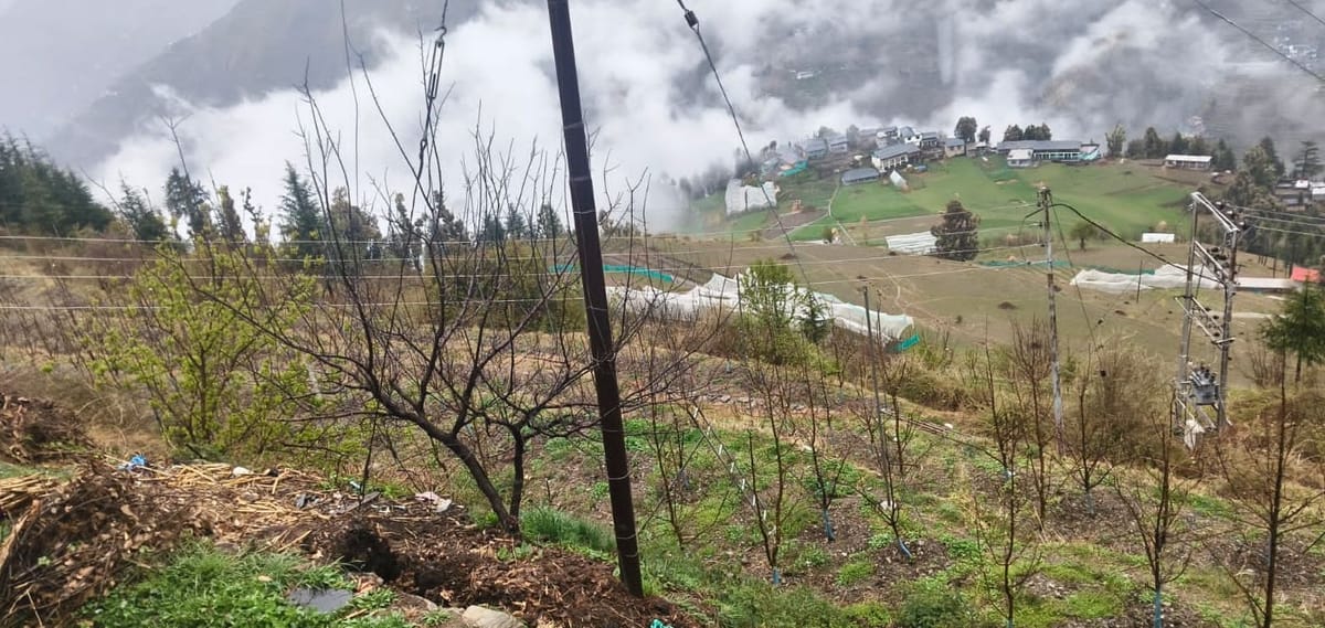 Chamba News: ओलों की बारिश ने झाड़ दिया भरोसा
