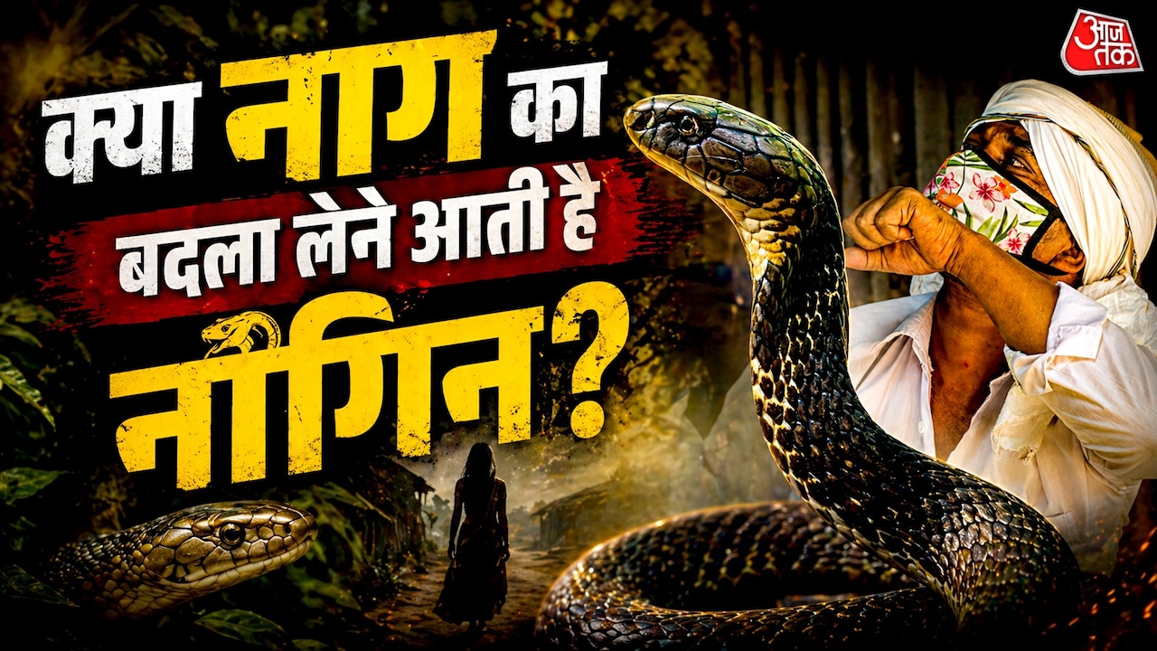 क्या सांप सच में बदला लेते हैं? जानिए सच