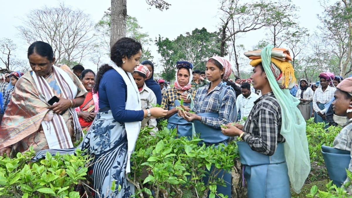 असम चुनावी दंगल: चाय बागानों में पहुंचे सीएम हेमंत सोरेन और विधायक कल्पना सोरेन, मजदूरों के बीच बिताया समय