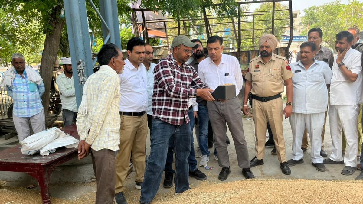 Sirsa News: डीएफएससी से लेकर एसडीएम तक हैरान, नमी मीटरों में मिली नमी ज्यादा