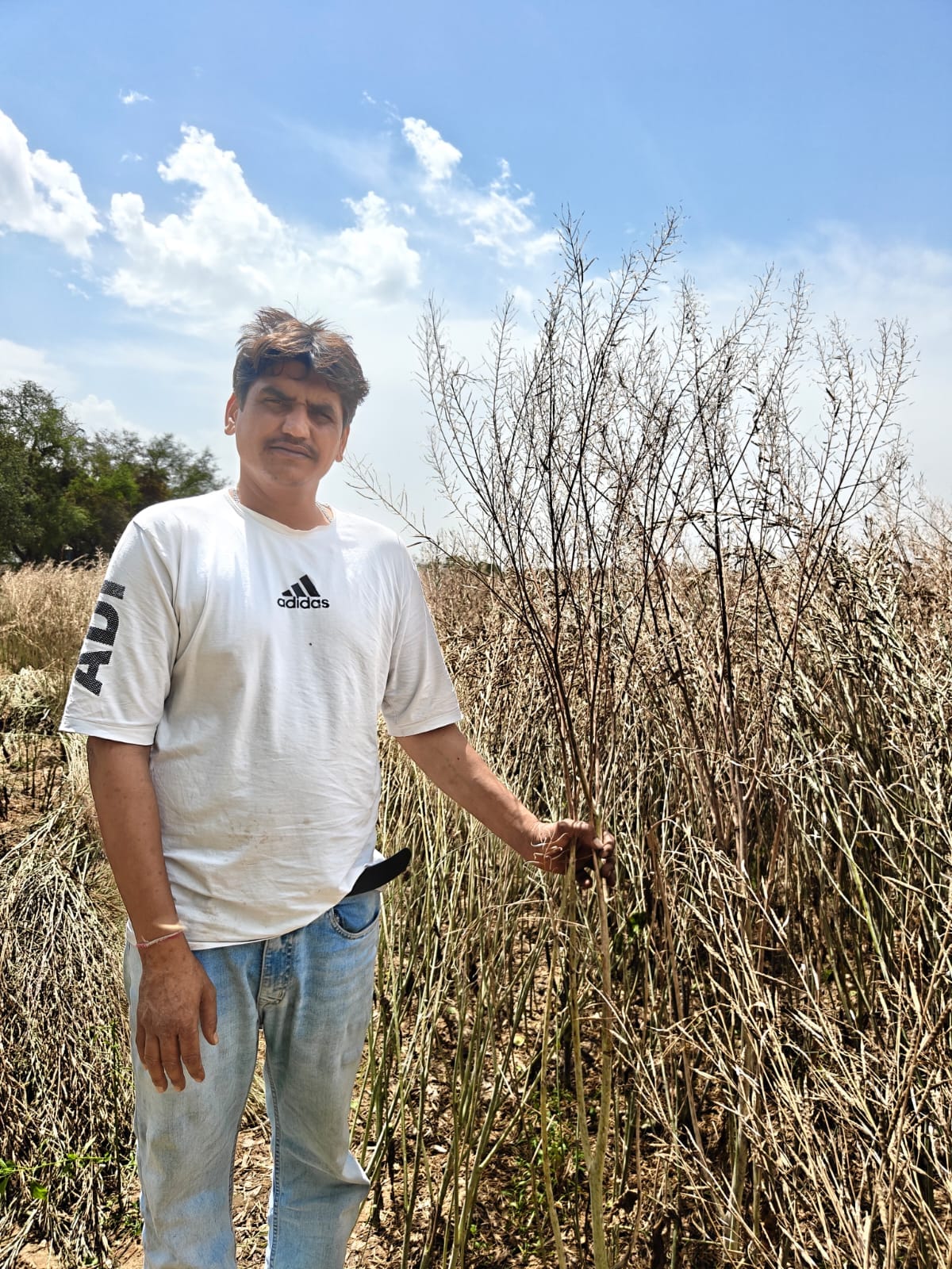 Fatehabad News: जिला प्रशासन की रिपोर्ट पर उठे सवाल किसान बोले- नहीं किया सही आकलन