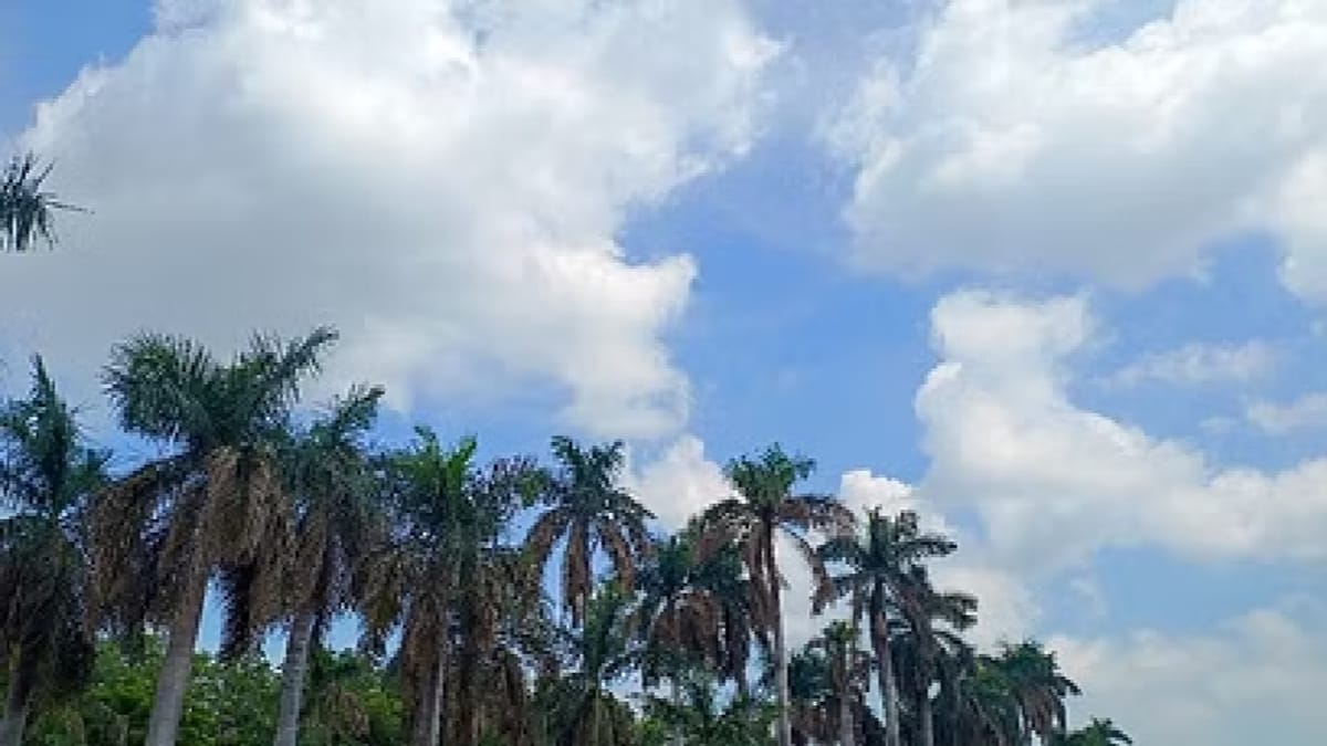 Weather Update: 4.2 डिग्री लुढ़का तापमान, बादल-हवा से बदला मौसम, फसल को लेकर बढ़ी किसानों की चिंता