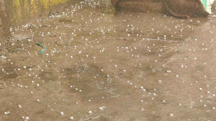 UP Weather: मथुरा में सुबह-सुबह बदला माैसम, बारिश के साथ जमकर गिरे ओले; किसानों के निकल पड़े आंसू