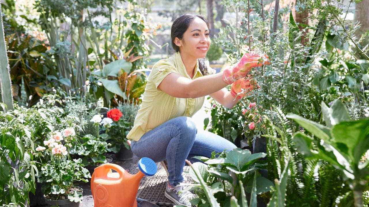 Gardening Tips: गर्मियों में भी नहीं सूखेंगे पौधे, अपनाएं ये स्मार्ट ट्रिक, रोज-रोज पानी देने की झंझट ही खत्म!