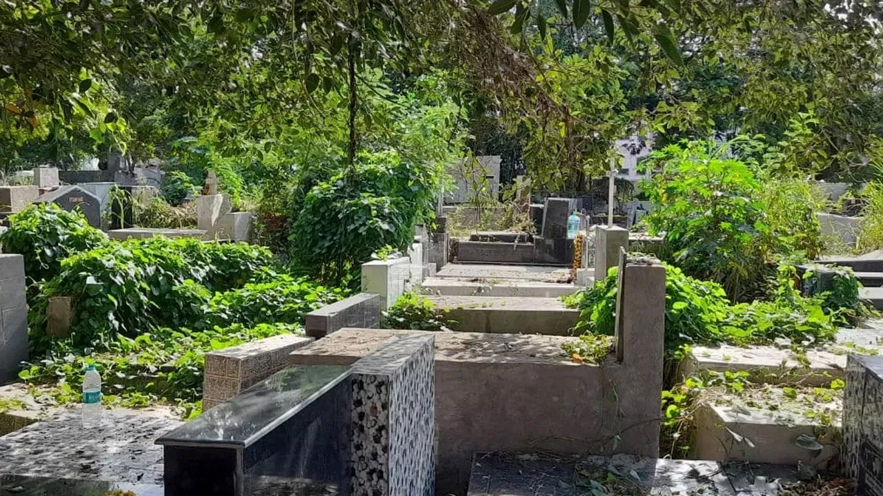 कब्रिस्तान में छिपा दिए 414 गैस सिलेंडर, देखकर अफसर भी रह गए हैरान; जानें पूरा मामला
