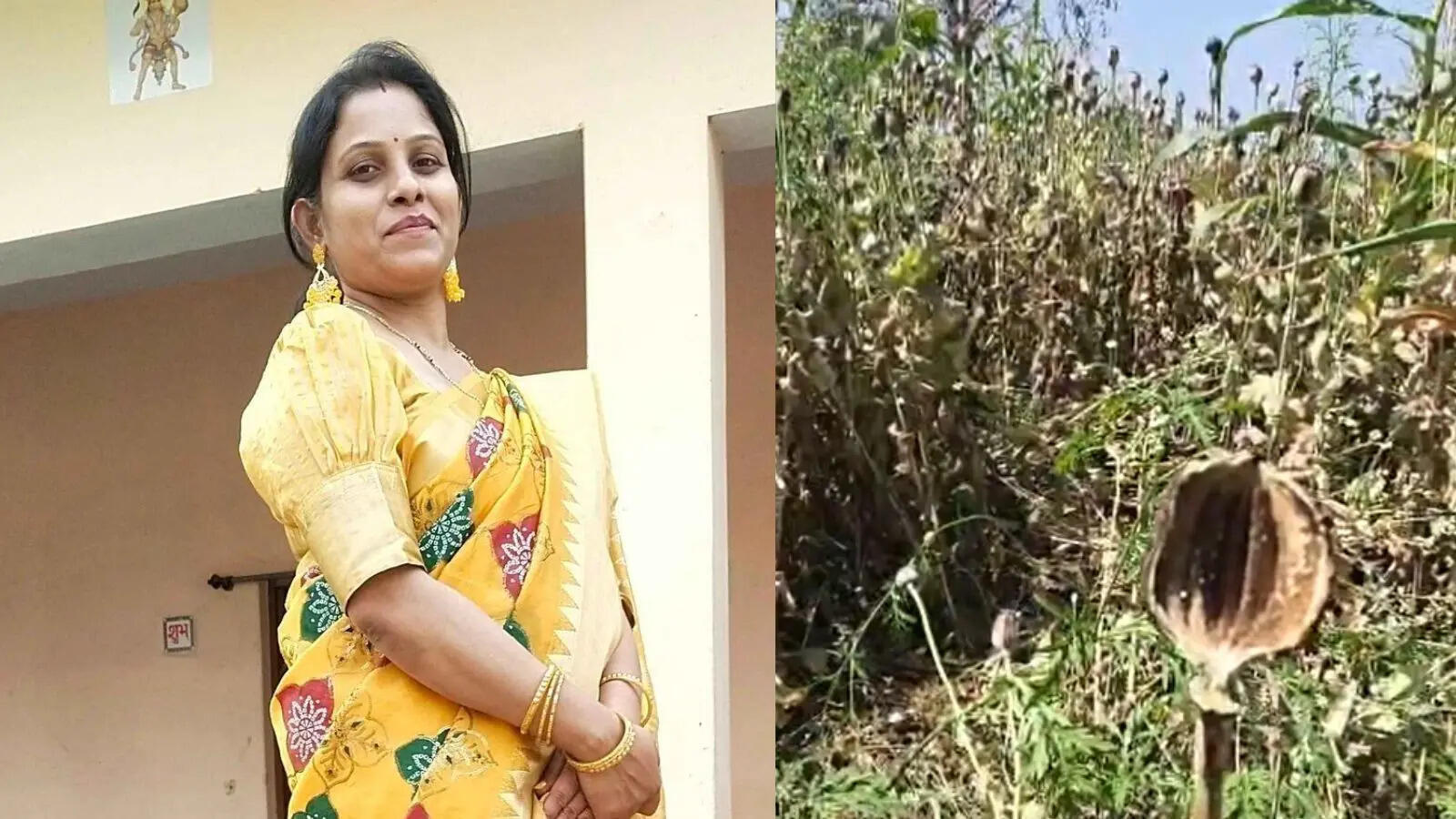 निलंबित कृषि विस्तार अधिकारी एकता साहू बहाल, अफीम कांड में हुईं थी सस्पेंड, बीजेपी नेता के खेत में मिली थी अवैध फसल