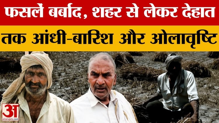 Aligarh News: आंधी-बारिश के साथ बरसे ओले, फसल हुई बर्बाद, किसानों की उम्मीदों पर फिरा पानी