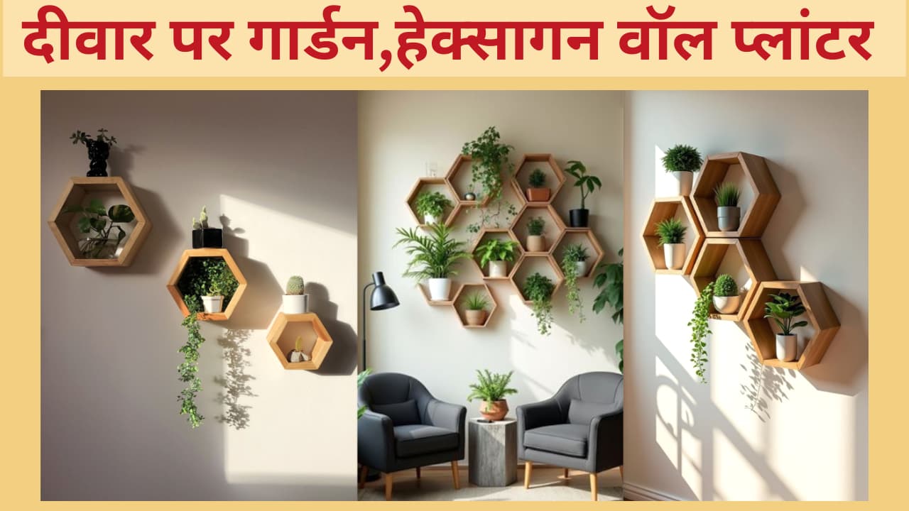 Wall Planters For Home: स्मार्ट गार्डनिंग,स्मार्ट चॉइस ! हेक्सागन प्लांटर्स से करें घर का मेकओवर